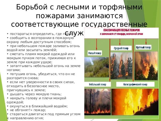 Лесные и торфяные пожары сообщение. Лесные и торфяные пожары сообщение