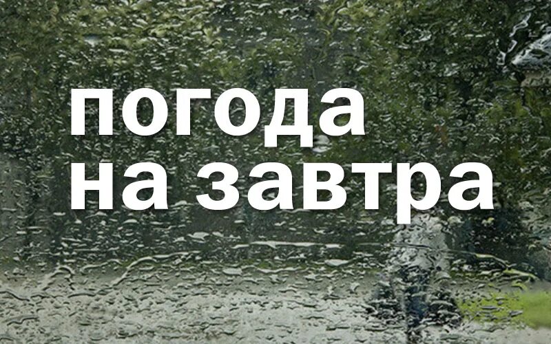 Погода гисметео сосновый бор ленинградская