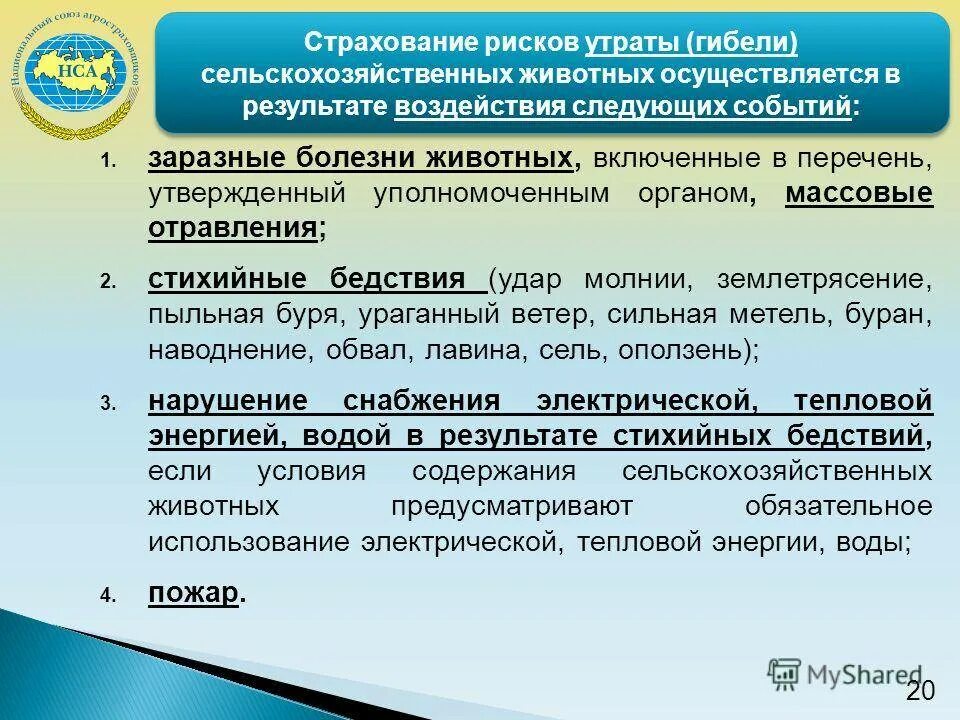 Страхование сельскохозяйственных животных. Страхование сельхоз животных. страхование сельского хозяйства. риски в сельском хозяйстве.