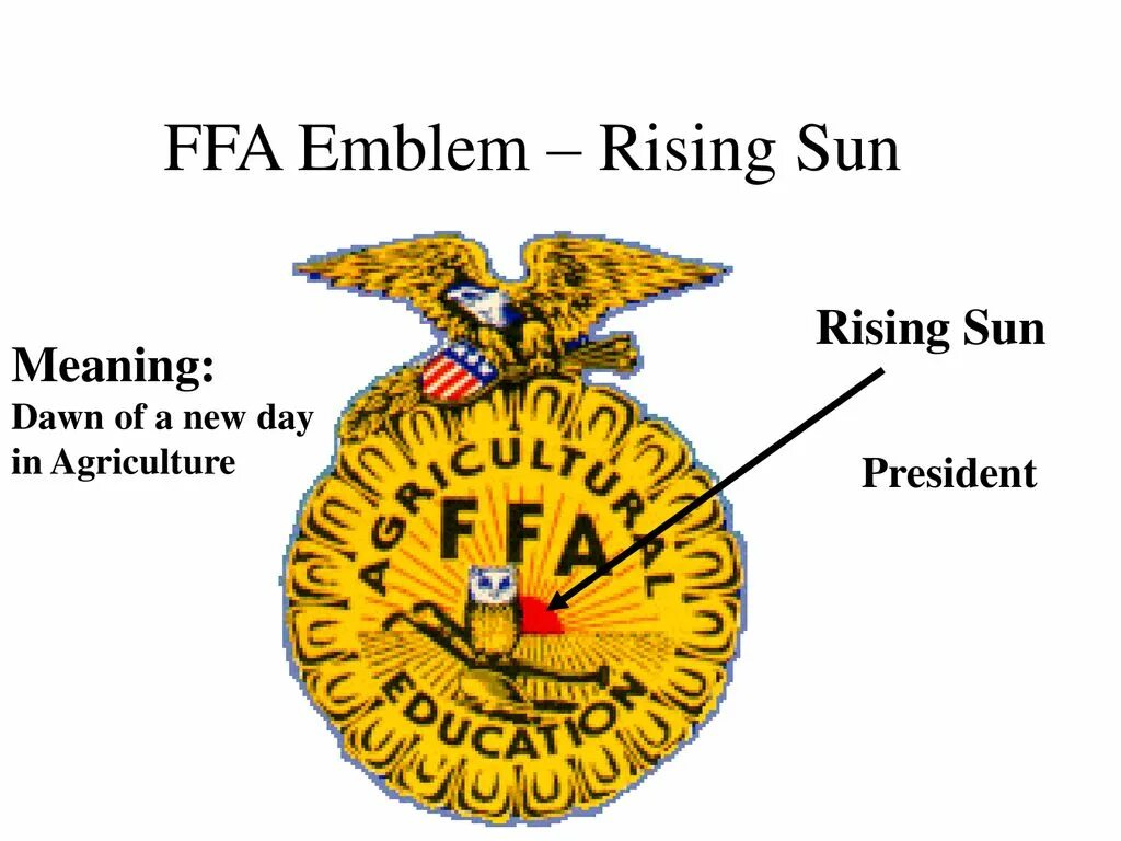 Sun meaning. Ffa режим. rise эмблема. what is ffa in medicine. rose fingered dawn meaning.