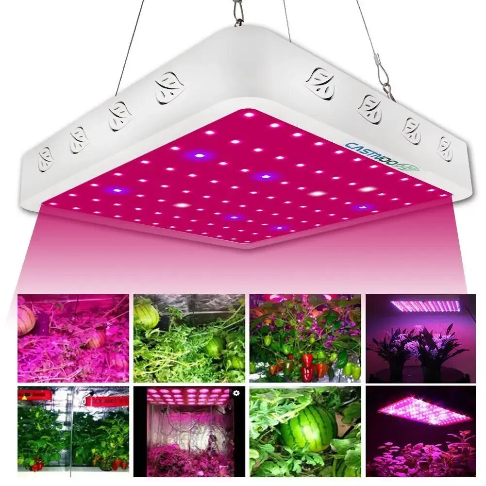 Спектр светодиодной лампы для растений. Светодиодная лампа grow Light led grow Light. Фитолампа led grow Light. 800 SMD led 800w фитолампа. Фитолампа для растений полного спектра.