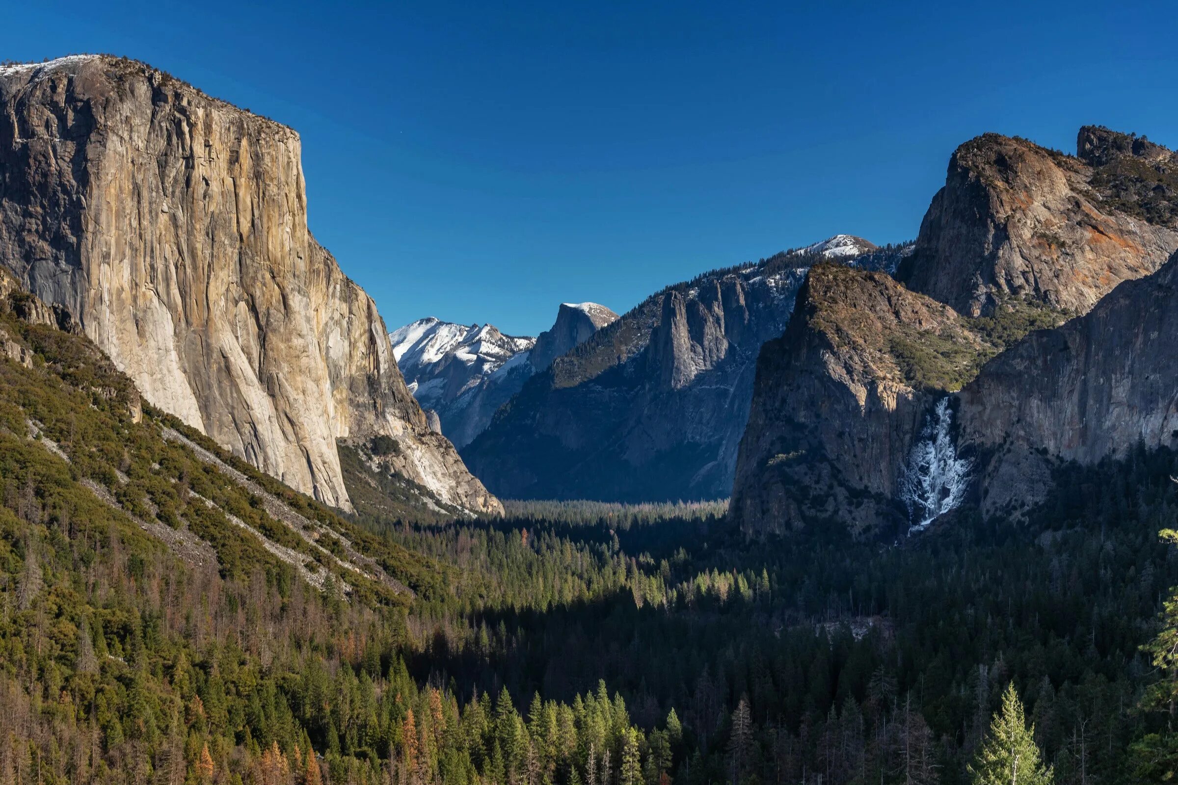 National park usa. Парк Йосемити (штат Калифорния). Национальный парк Yosemite, США. Лес Йосемити. Юсемити парк США.