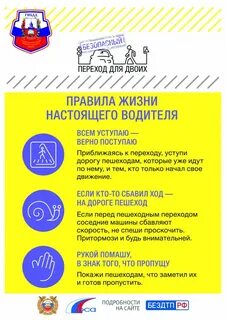 Водитель и безопасное дорожное движение