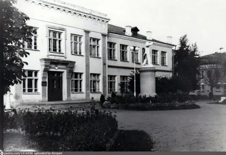 Школы сестрорецка курортного