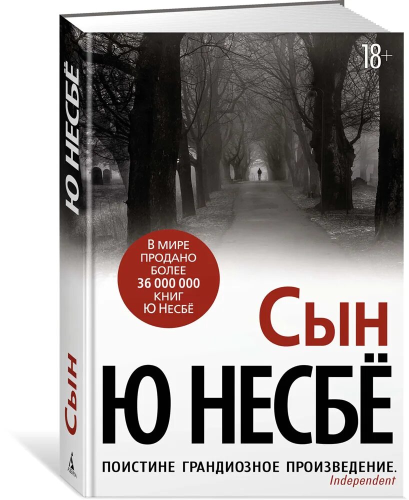 Дюма сын. Хербьерг вассму "книга дины". Несбе сын книга. Несбе сын книга. Книга сын майер.