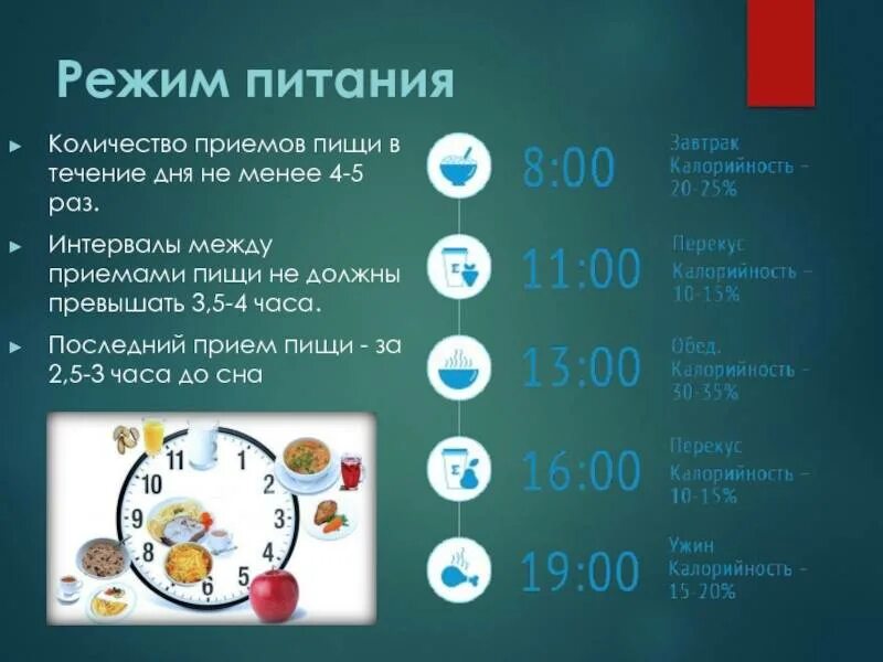 Сколько можно ем. Режим питания. График питания. Распорядок правильного питания. Правильный режим питания.