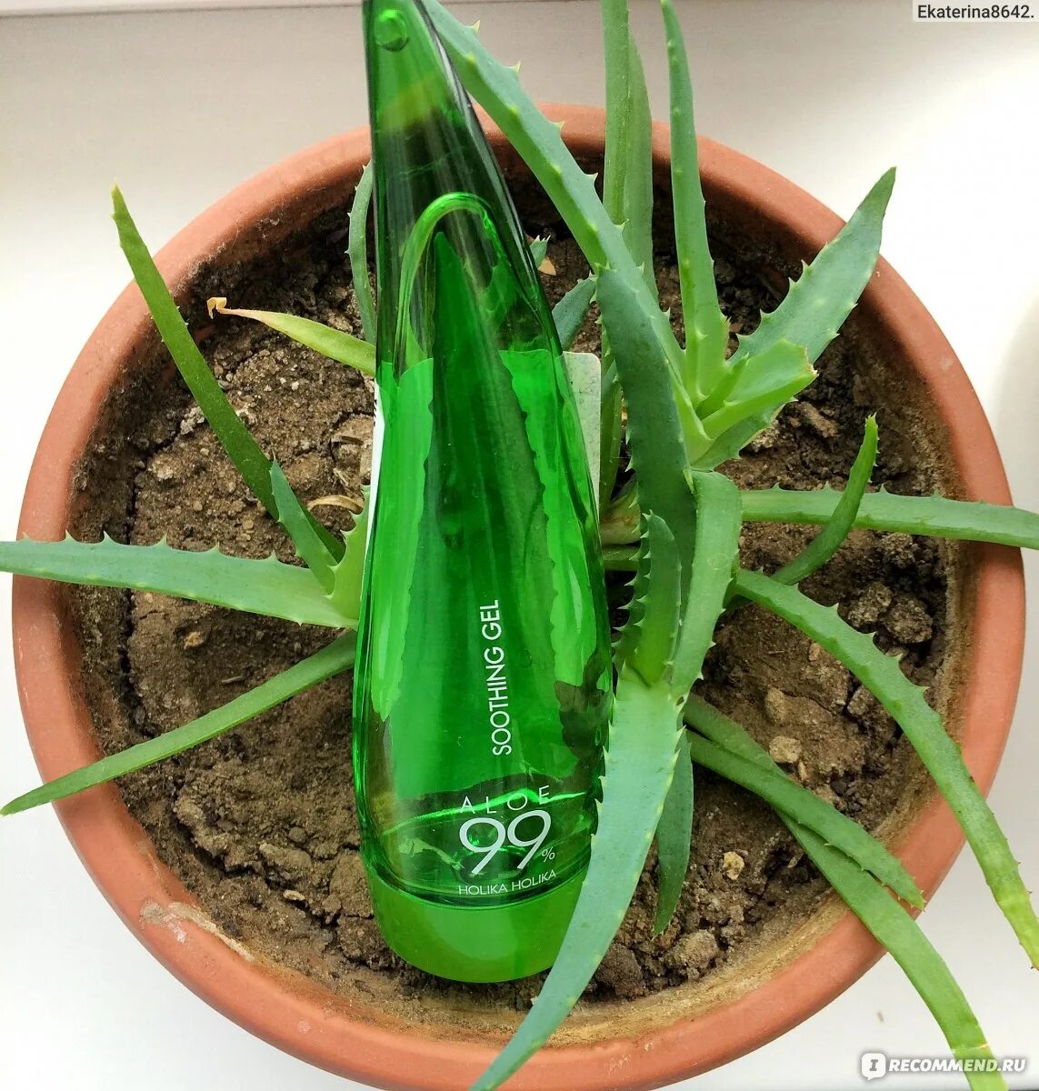 Aloe 99 gel