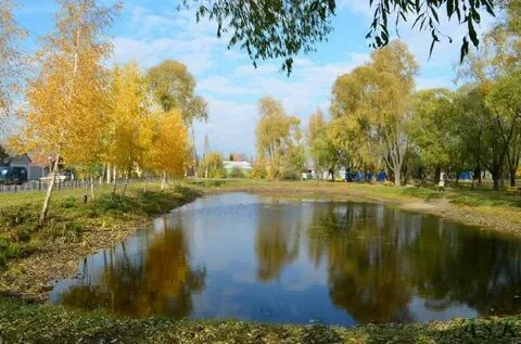 Пруды коврова