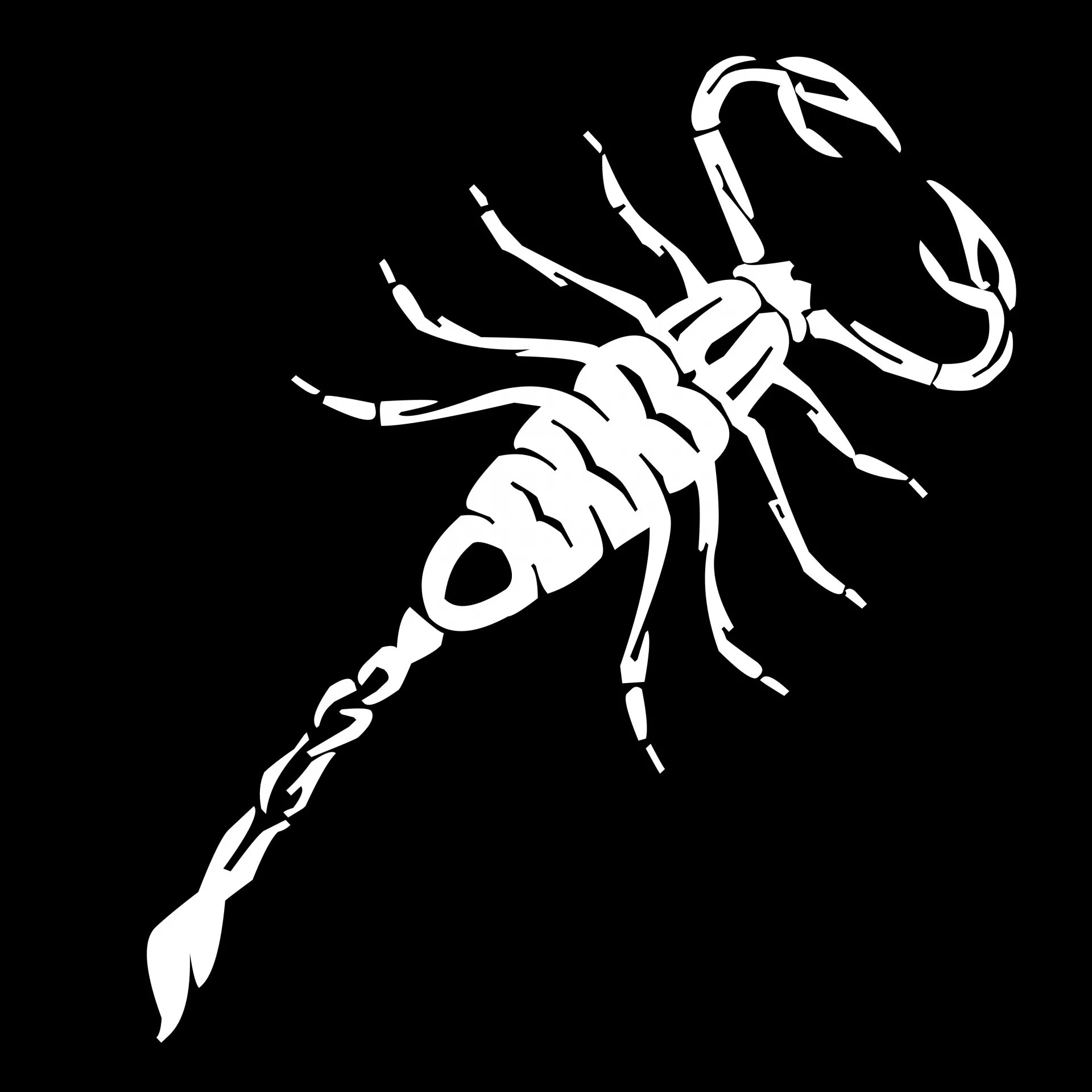 Scorpion white. Белый Скорпион. Скорпион на темном фоне. Скорпион карандашом. Скорпион Минимализм.