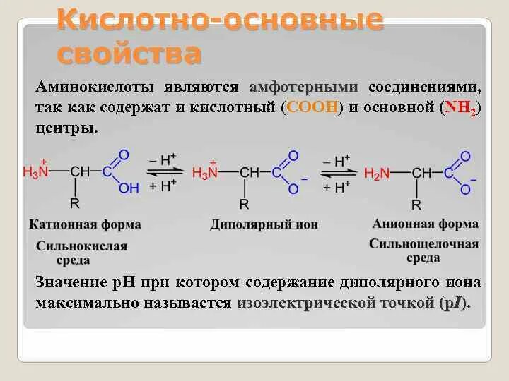 Кислотные белки