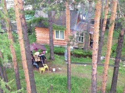 Аршанский бор