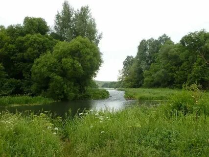 Река сторожа