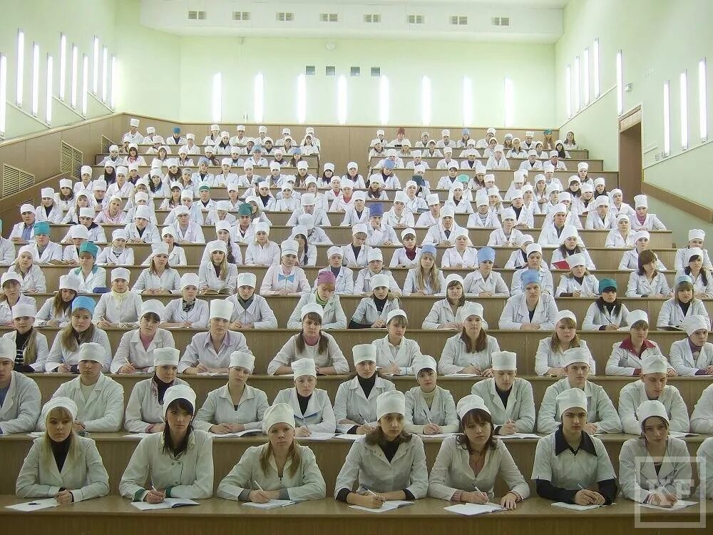 Фото координатор студентов. Молодежь с гаджетами. Work the university. Студенты. Образование университет.