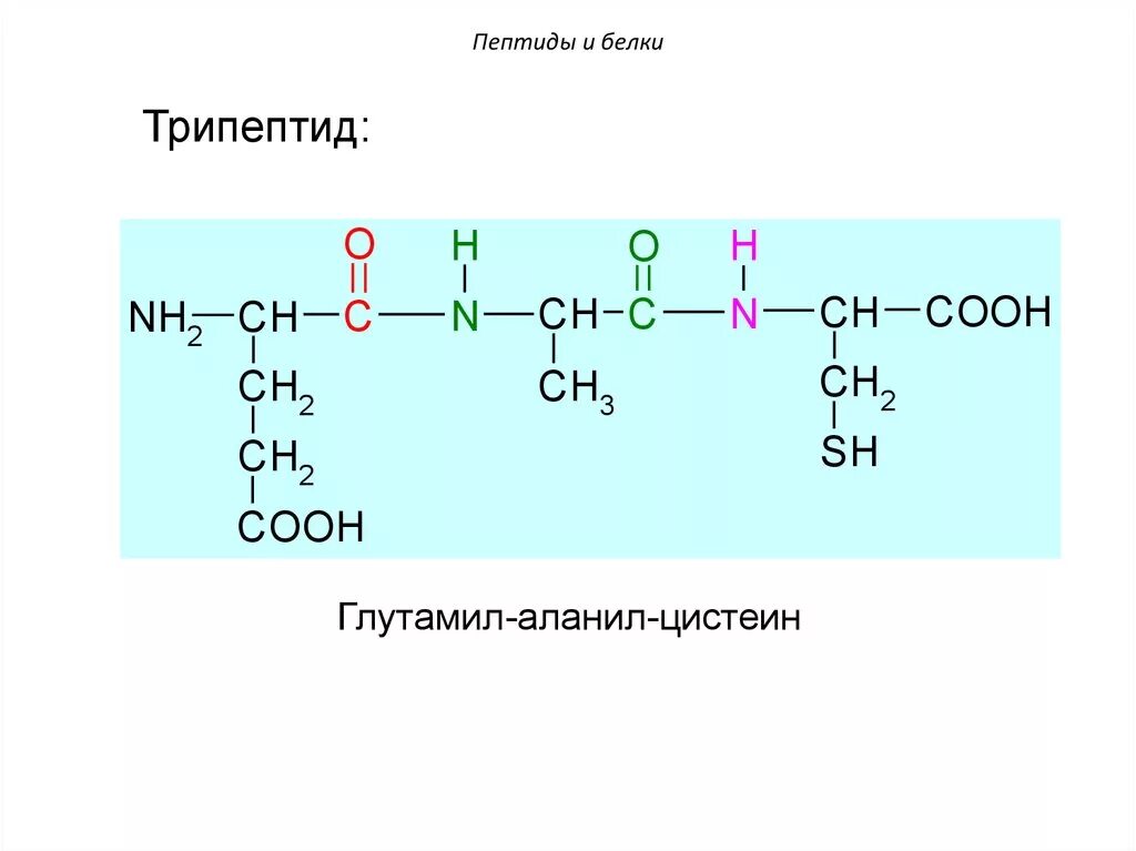 Схема полипептида. Трипептид цистеин. Трипептид Лиз цис сер. Реакция образования трипептида. Тетрапептид строение.