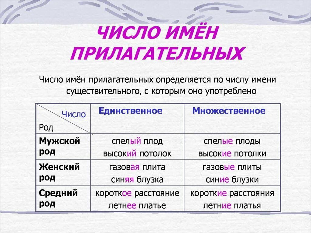 Падеж краткой формы прилагательного. Как определить число прилагательного. как определить имя прилагательное. как определить род у прилагательных. как определить род и число имен прилагательных.