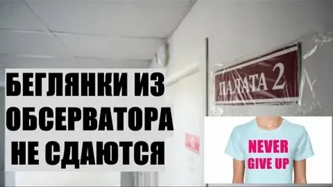 Они закроют