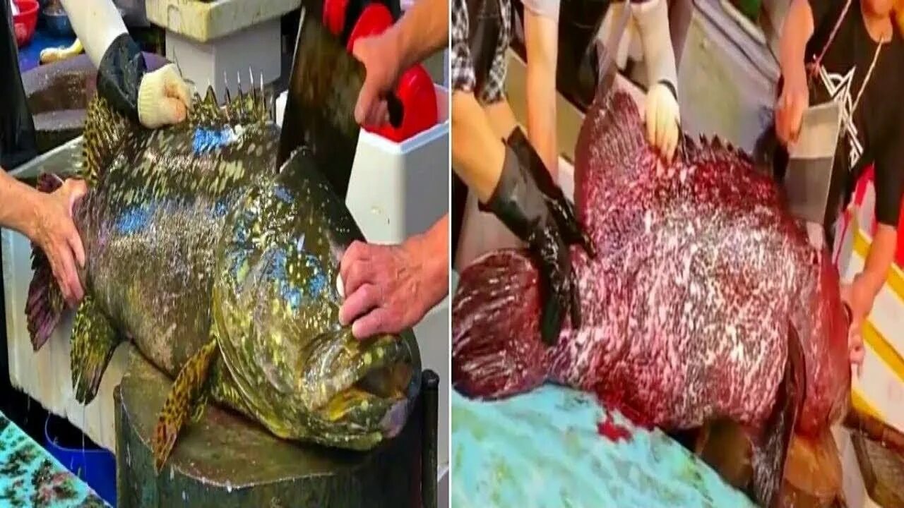 Как почистить морского. Разделка морского окуня. разделка морепродуктов.