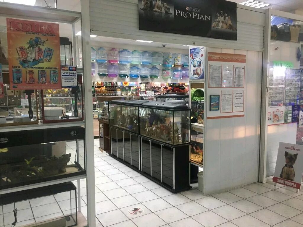 зоомагазины в набережных челнах. зоомагазины в набережных челнах. зоомир набережные челны. аквадом набережные челны. зоомагазин наб челны.