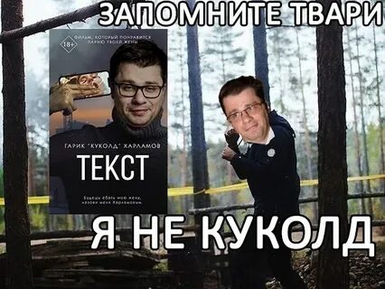 Текст гарик
