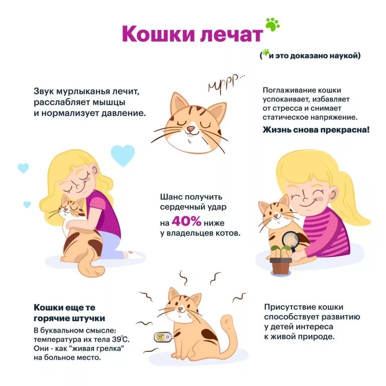 Лечат ли кошки людей. Кошки лечат. Как лечат кошки. Какие болезни лечат кошки. Кошка лечит человека.