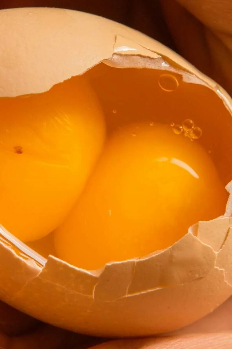 Два желтка примета. Яйцо куриное. Желток яйца. Яйцо в разрезе. Крупные яйца.