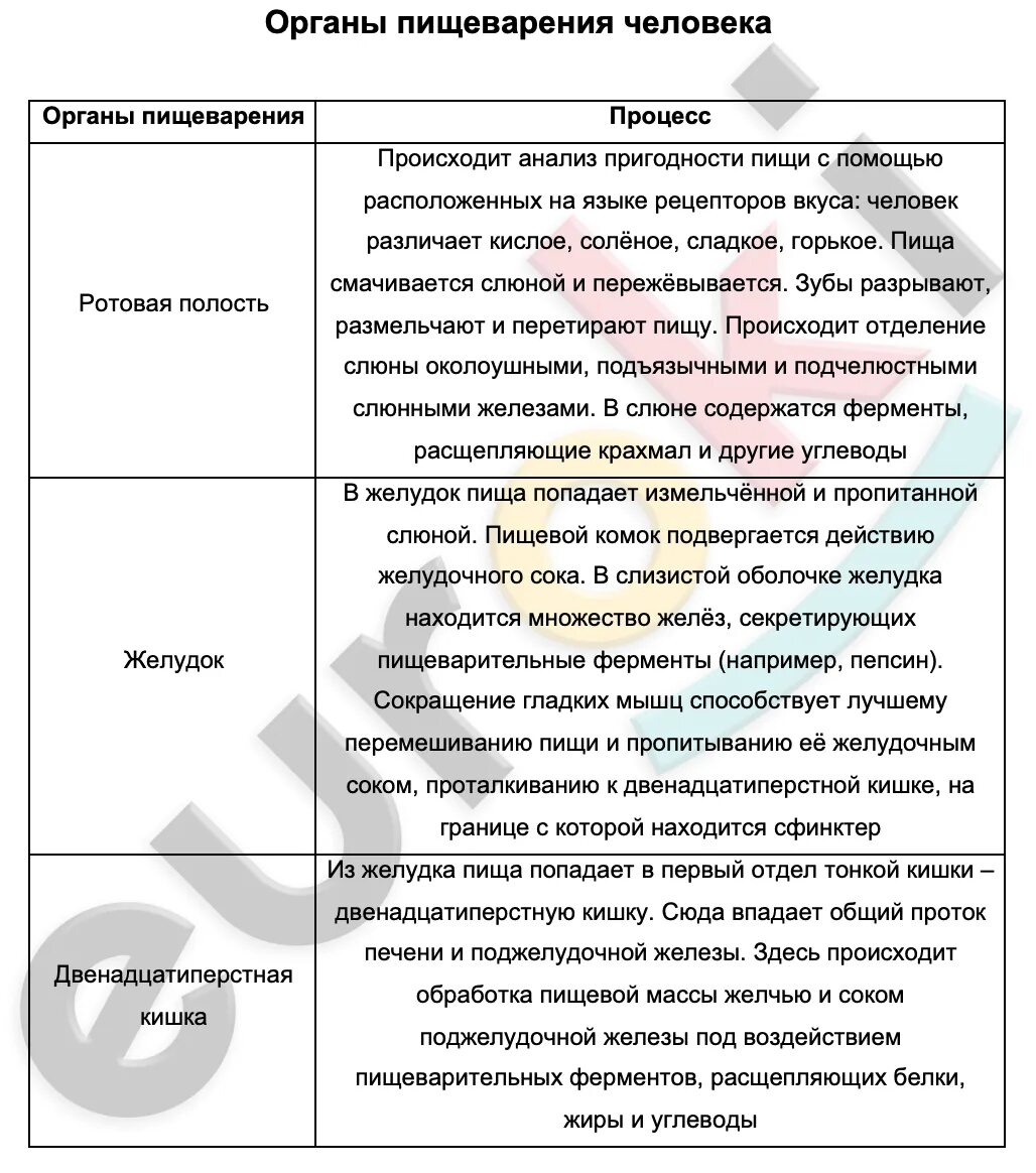 Контрольная по биологии 8 класс пищеварительная система. Таблица по биологии 8 класс пищеварительная система. таблица органы пищеварительной системы и их функции 8 класс биология. пищеварительная система человека 8 класс биология таблица. таблица по биологии 9 класс пищеварительная система.