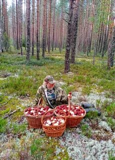 Удачливый грибник