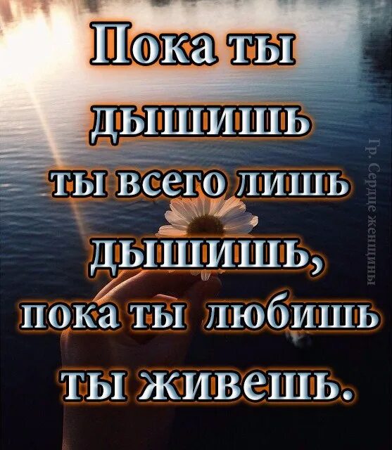 Пока я дышу я живу. Всех люблю всем пока. Пока живу люблю стихи. Пока ты дышишь ты живешь.