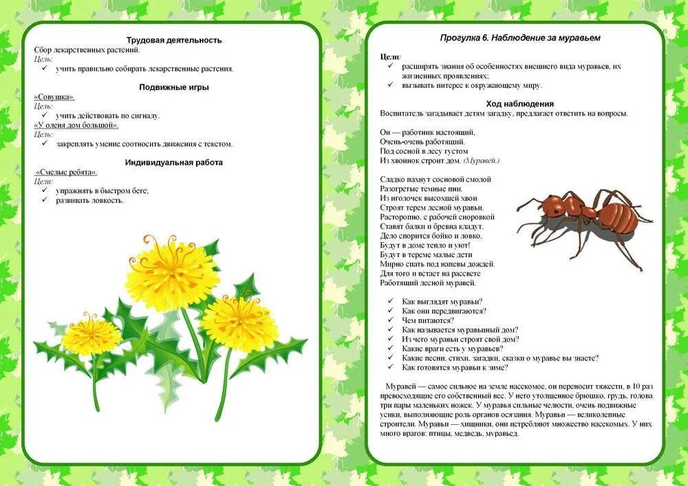 Старшая группа тема насекомые конспекты занятий. Наблюдения в подготовительной группе. Насекомые подготовительная группа. Наблюдения в природе летом. Картотека прогулок лето 2 младшая группа.