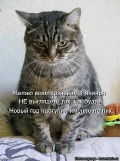 Как будет по не принес