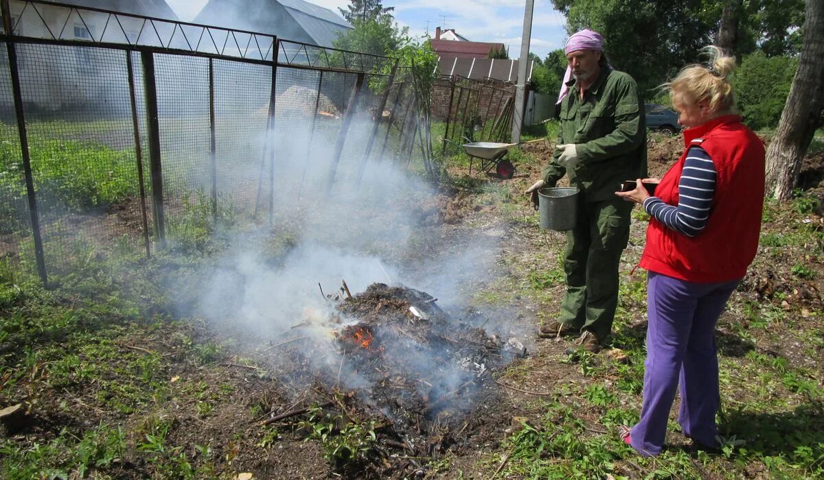 Можно ли сжигать траву на своем участке