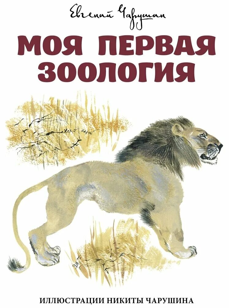 Моя первая зоология книга о птицах. Книга моя первая Зоология Чарушин. Чарушин моя первая Зоология. Книжка моя первая Зоология. Книга моя первая Зоология про птиц.