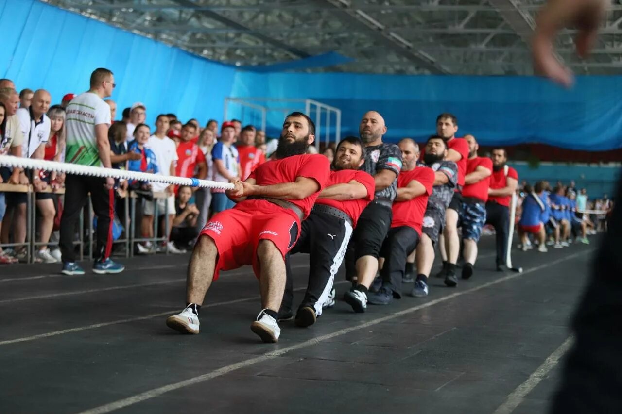 Команда uol. Киберспорт чемпионат. Турнир по мини-футболу посвященного дню защитника отечества. Команда гамбит кс го. Соревнования по перетягиванию каната.