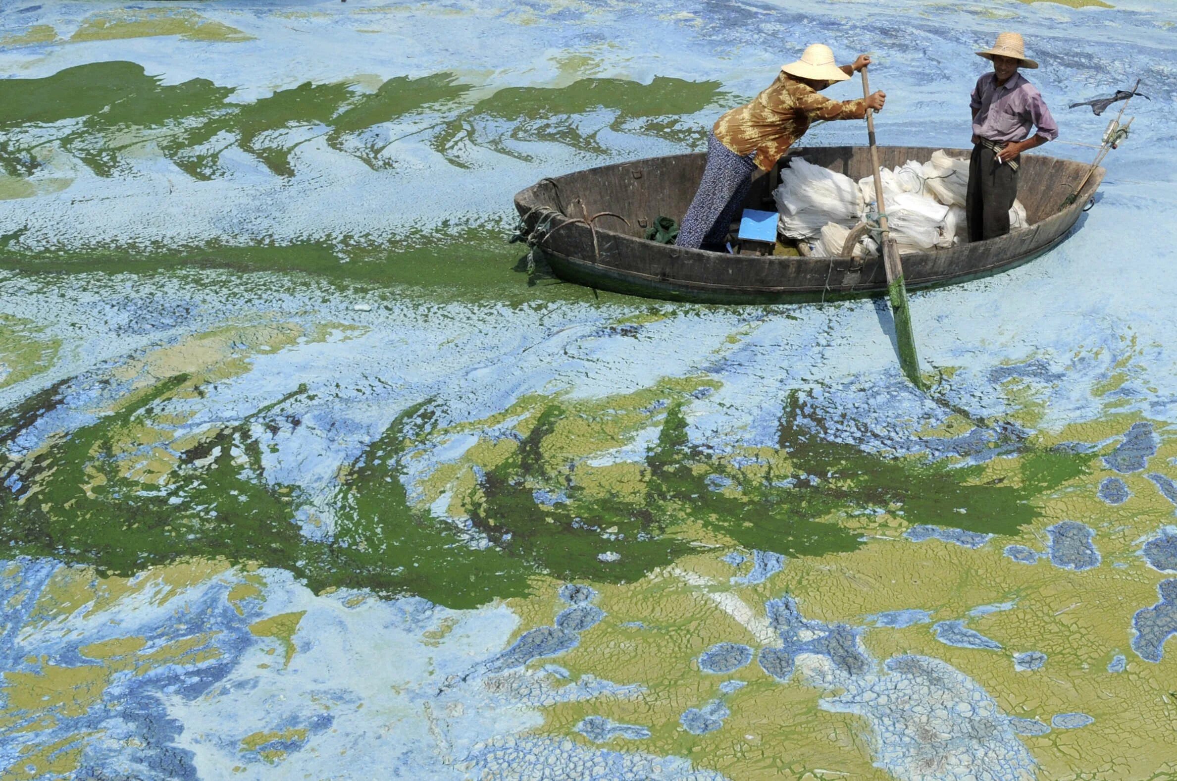 Озеро Чаоху. Чаоху Китай. Загрязнение воды. Загрязнение водоемов.