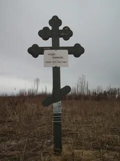Курша 2