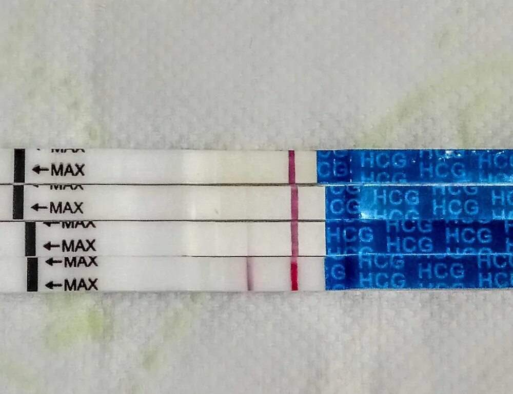 13 ДПО тест на беременность. Эви тест 13 ДПО. 12 ДПО тест ХГЧ. 12 ДПО тест вечер.