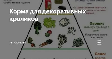 Овощи кролику какие овощи