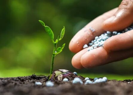Fertilizer