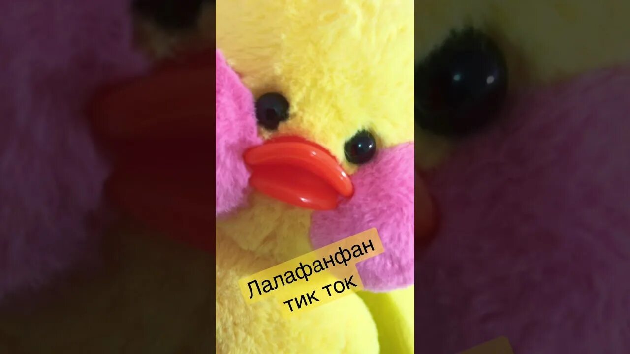 Как сделать собачку из тик тока. Уточка из тик тока. утёнок из тик тока игрушка. бумажная утка из тик тока. утка из тик тока лалафанфан.