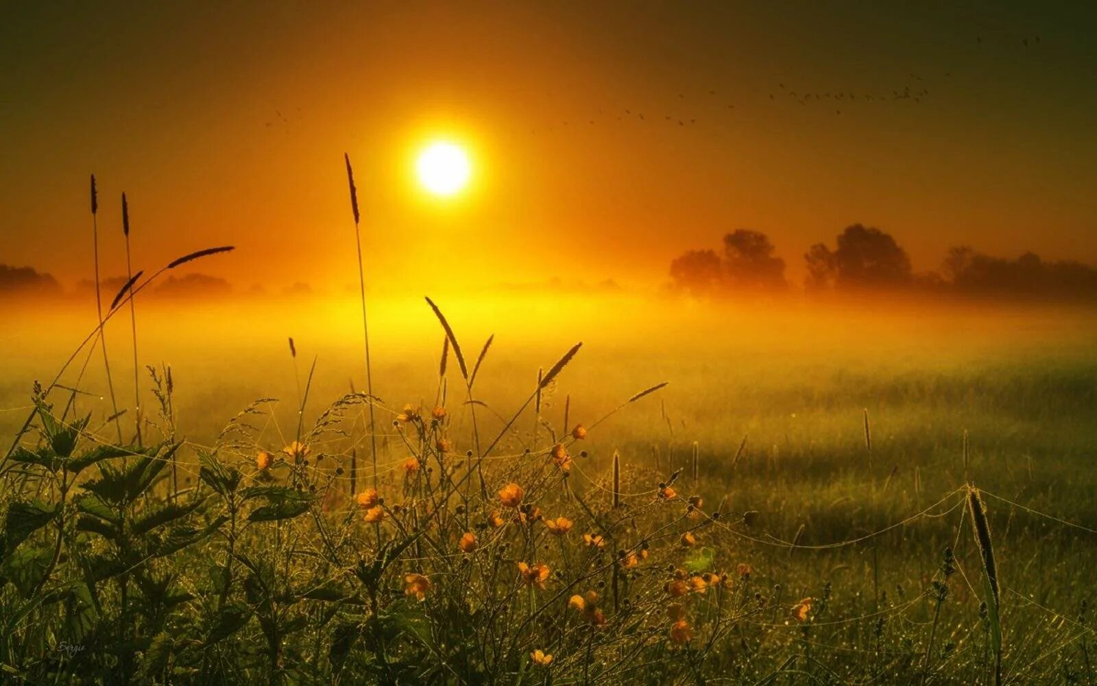 Вечер закат утро. Весенний рассвет. Закат поле лес. Закат на реке. Деревня церковище псковская область.