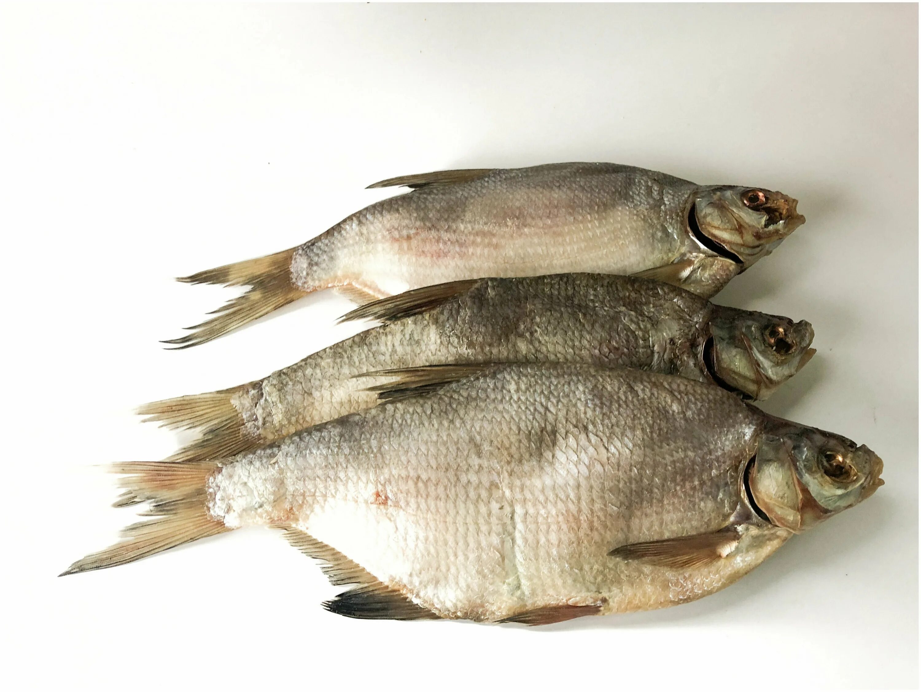 цимлянский лещ вяленый рыбец 34. лещ вяленый цимлянский крупный. лещ цимлянский вяленый. цимлянсктй вяленыйлешь. огромный вяленый лещ.