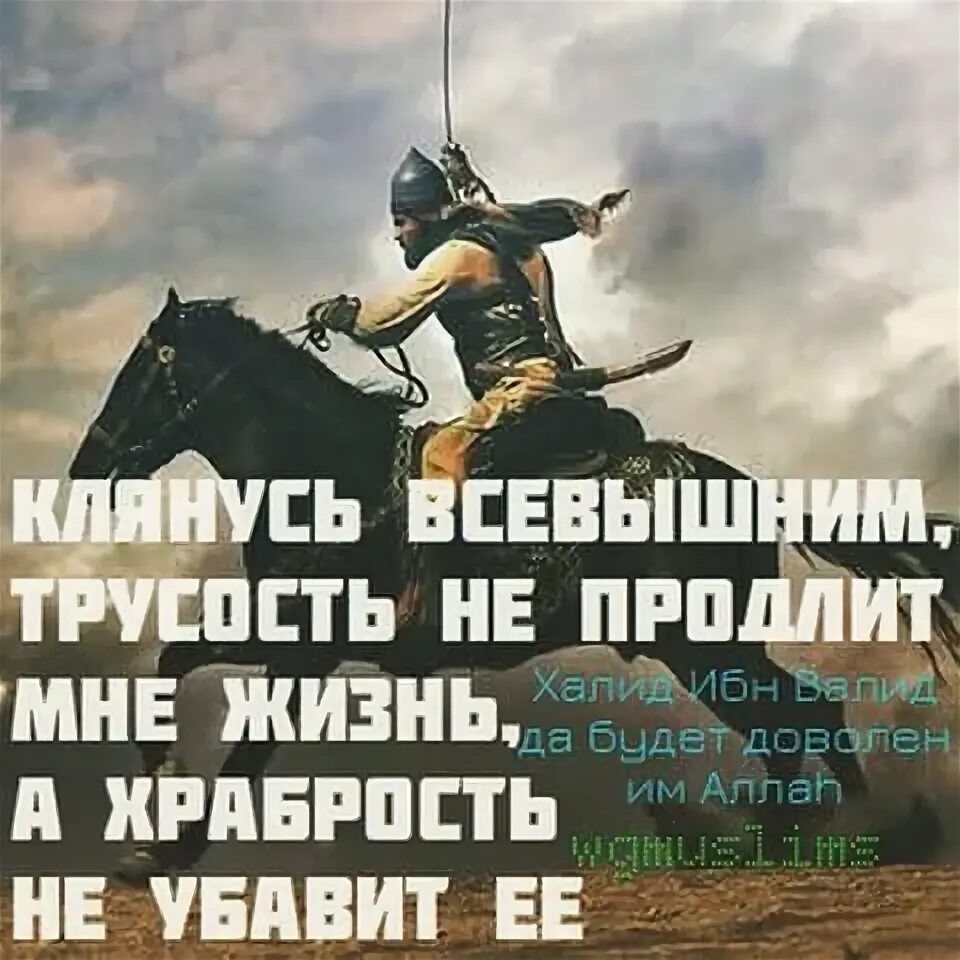 Трусость не продлит мне жизнь. Халид Бин Валид трусость. Трусость не продлит. Трусость не продлит жизнь а храбрость.