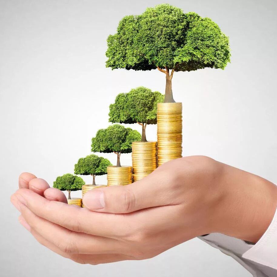 Saving capital