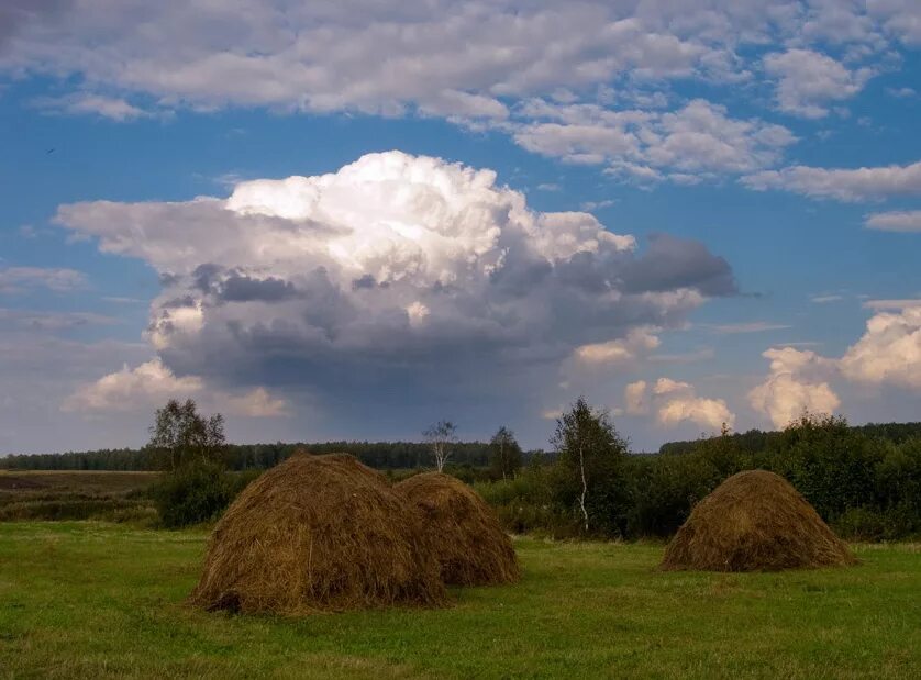 Сенокос стога. Сенокос Скирда. Калязин. Скирда. Стог.. Мещера Луга стог сена. Шишкин стога.