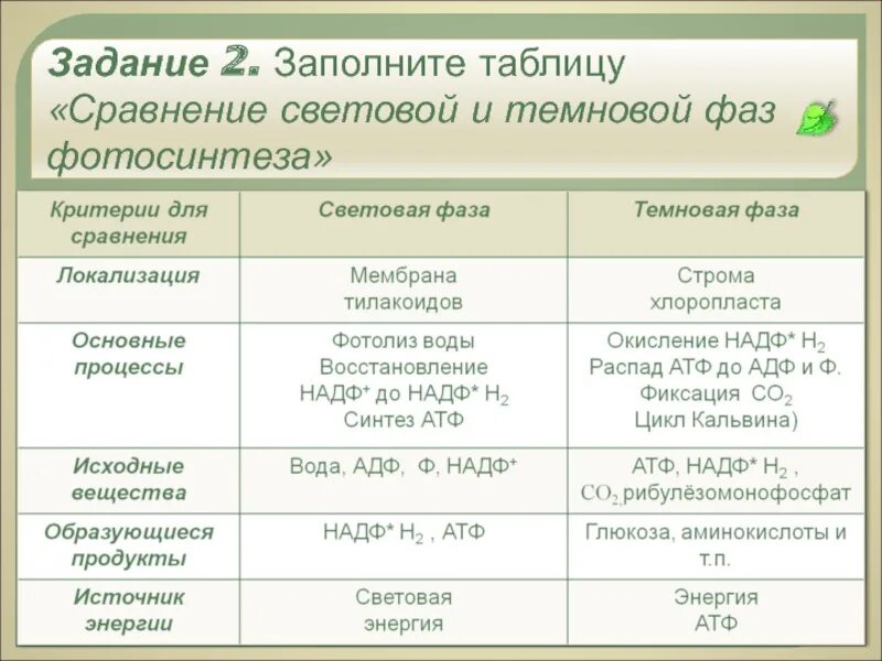 Выполнить сравнительную таблицу