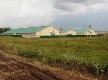 Погода в кулыгах