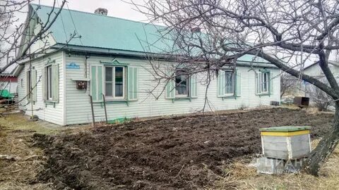Борисовка приморский край