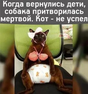Не успел спрятаться
