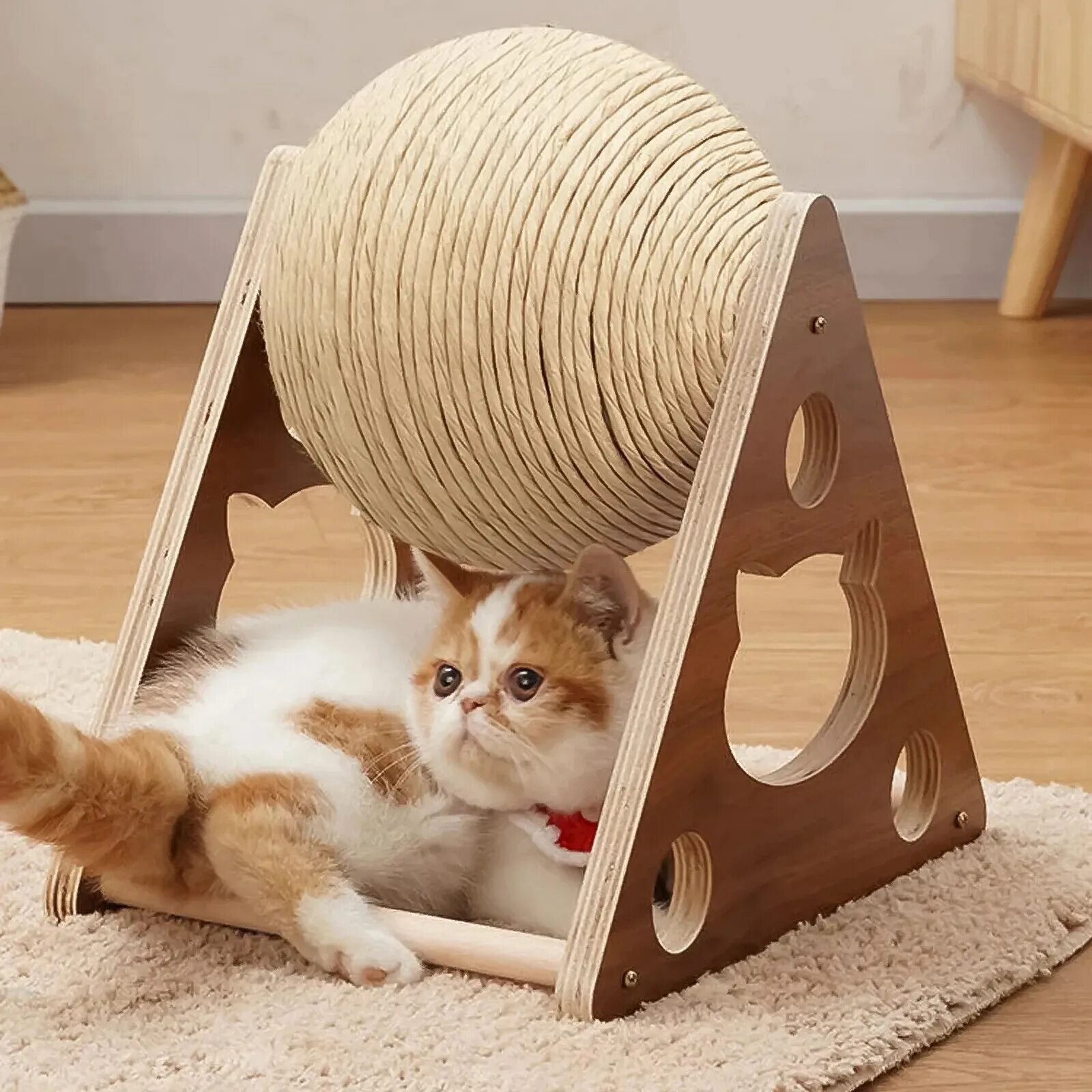 Cat scratcher. Когтеточка шар. Когтеточка для кошек. Шар когтеточка для кота. Когтеточка для кошек с шариками.