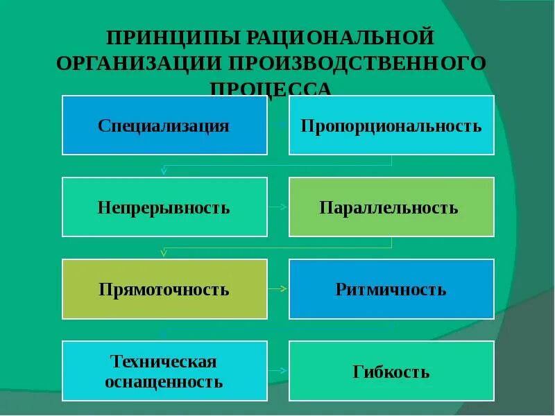 Принципы организации производственного процесса. Рациональная организация производственного процесса. Принципы рациональной организации. Принципы рациональной организации производства процесса. Основные принципы ее организации